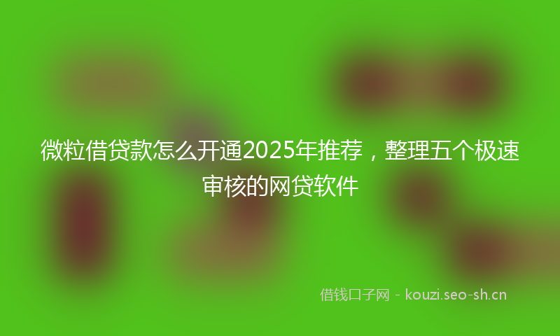微粒借贷款怎么开通2025年推荐，整理五个极速审核的网贷软件