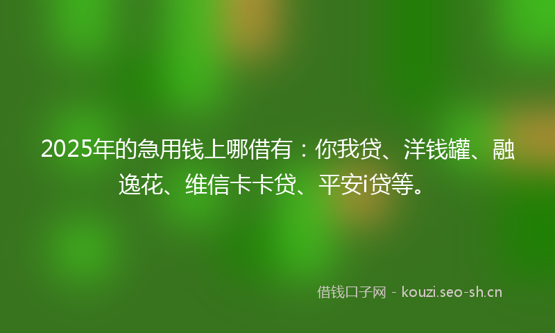 2025年的急用钱上哪借有：你我贷、洋钱罐、融逸花、维信卡卡贷、平安i贷等。
