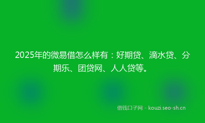 2025年的微易借怎么样有:好期贷、滴水贷、分期乐、团贷网、人人贷等。