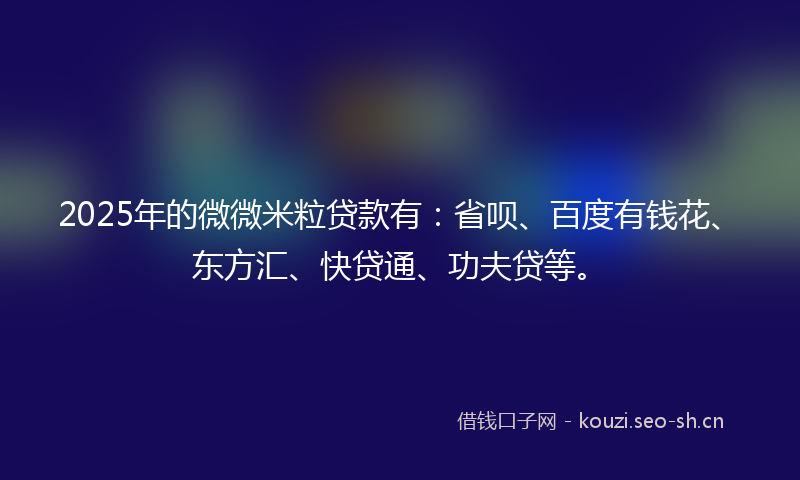 2025年的微微米粒贷款有：省呗、百度有钱花、东方汇、快贷通、功夫贷等。