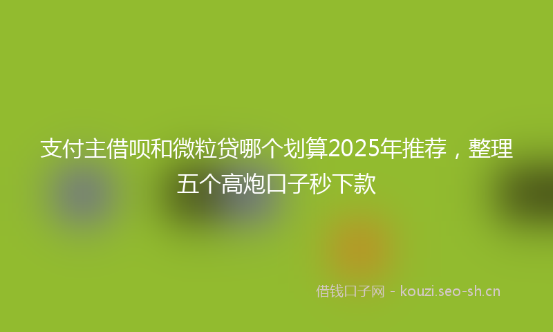 支付主借呗和微粒贷哪个划算2025年推荐，整理五个高炮口子秒下款
