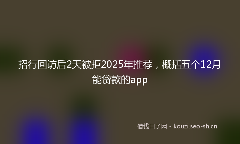 招行回访后2天被拒2025年推荐，概括五个12月能贷款的app