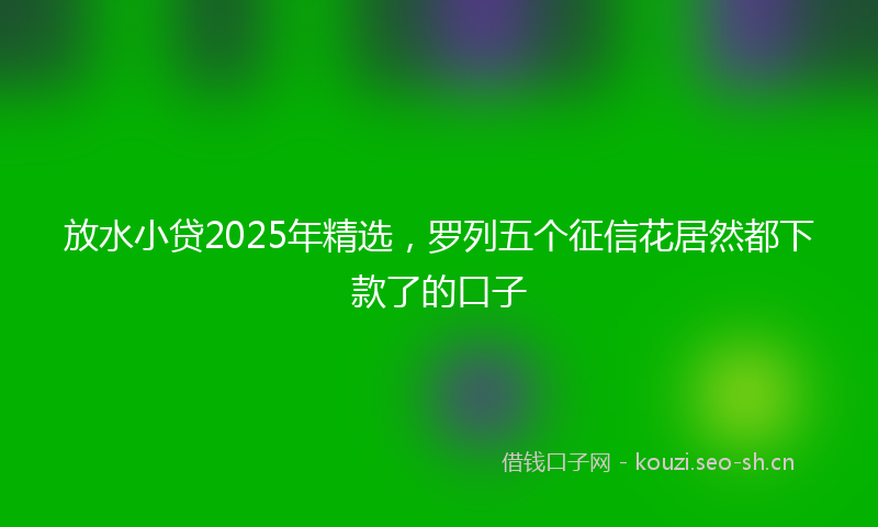 放水小贷2025年精选，罗列五个征信花居然都下款了的口子
