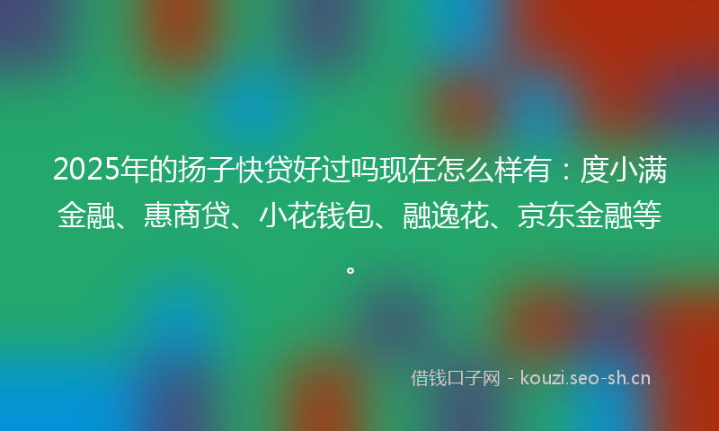 2025年的扬子快贷好过吗现在怎么样有：度小满金融、惠商贷、小花钱包、融逸花、京东金融等。