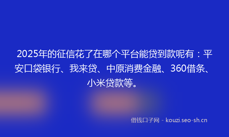 2025年的征信花了在哪个平台能贷到款呢有：平安口袋银行、我来贷、中原消费金融、360借条、小米贷款等。