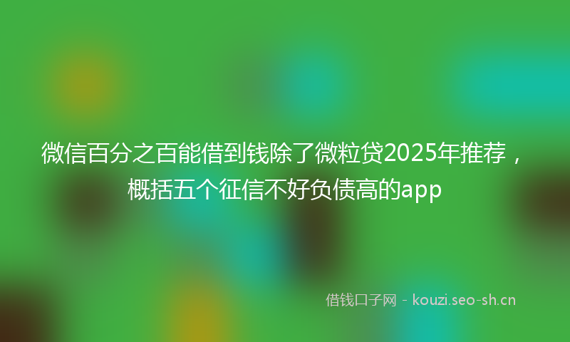 微信百分之百能借到钱除了微粒贷2025年推荐，概括五个征信不好负债高的app