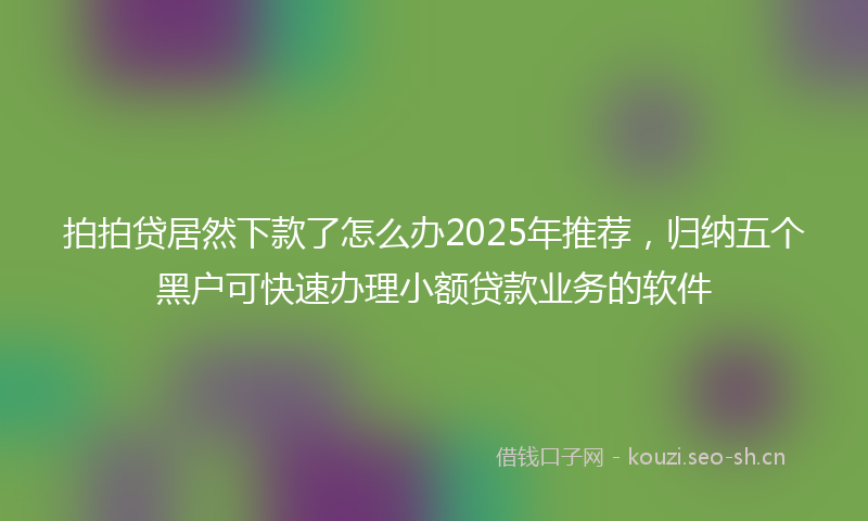 拍拍贷居然下款了怎么办2025年推荐,归纳五个黑户可快速办理小额贷款业务的软件
