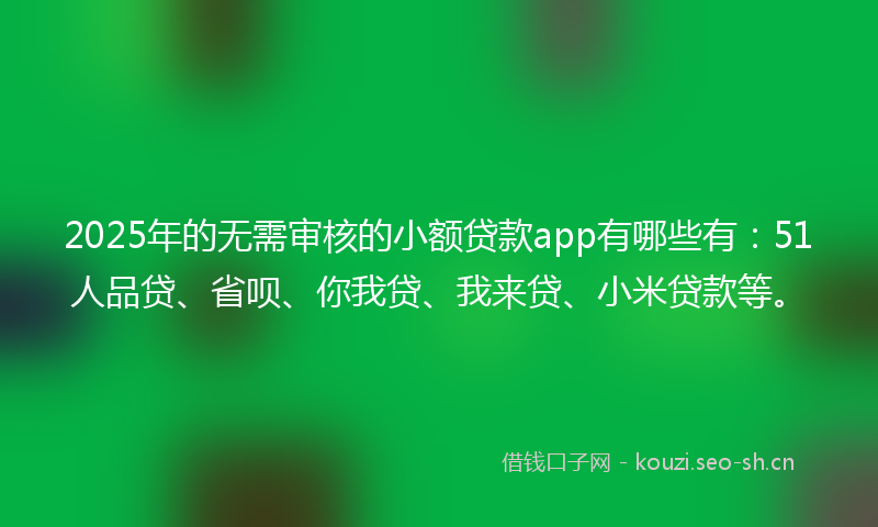 2025年的无需审核的小额贷款app有哪些有：51人品贷、省呗、你我贷、我来贷、小米贷款等。
