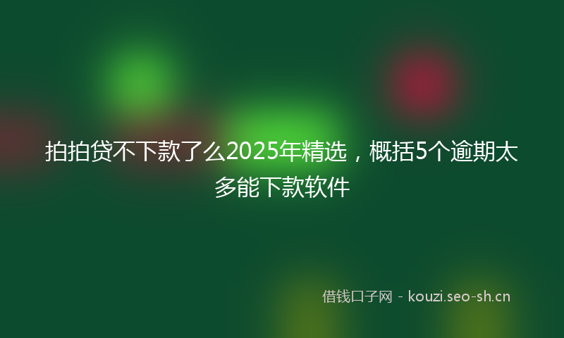 拍拍贷不下款了么2025年精选，概括5个逾期太多能下款软件