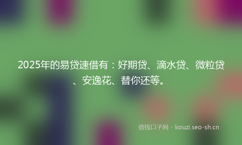 2025年的易贷速借有：好期贷、滴水贷、微粒贷、安逸花、替你还等。