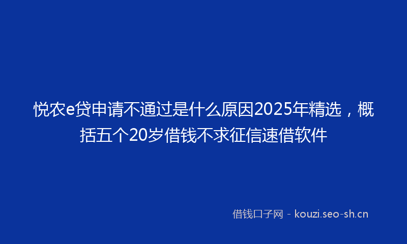悦农e贷申请不通过是什么原因2025年精选，概括五个20岁借钱不求征信速借软件