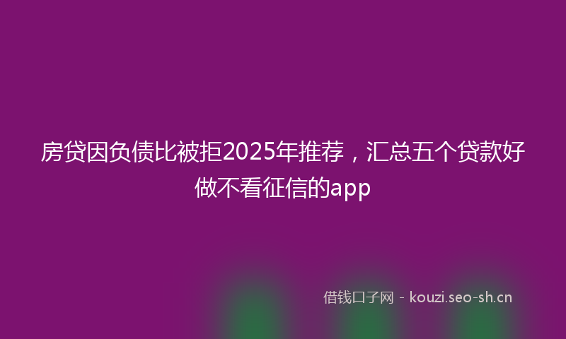 房贷因负债比被拒2025年推荐，汇总五个贷款好做不看征信的app