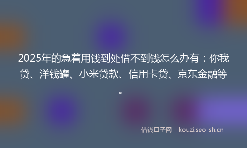 2025年的急着用钱到处借不到钱怎么办有：你我贷、洋钱罐、小米贷款、信用卡贷、京东金融等。