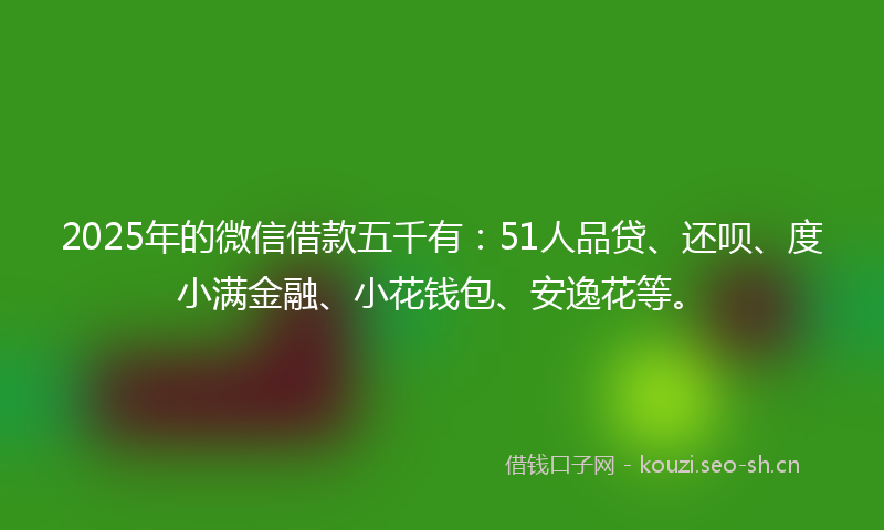 2025年的微信借款五千有：51人品贷、还呗、度小满金融、小花钱包、安逸花等。