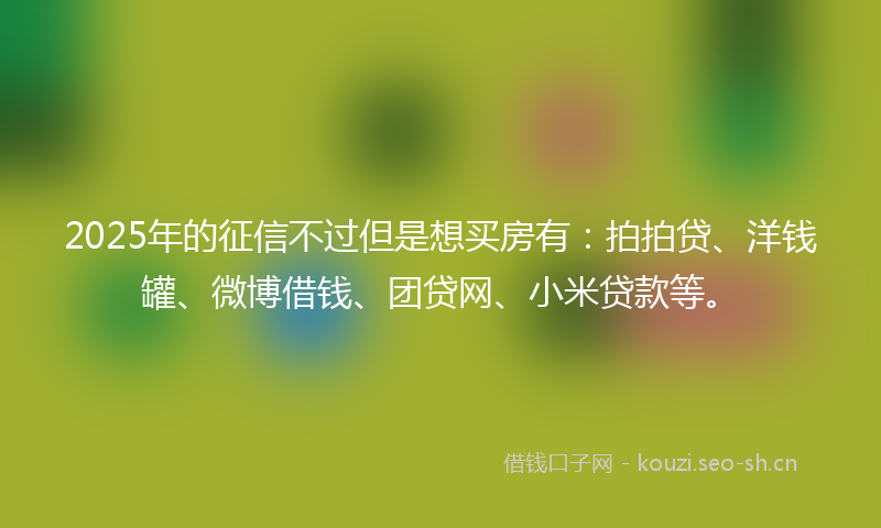 2025年的征信不过但是想买房有：拍拍贷、洋钱罐、微博借钱、团贷网、小米贷款等。