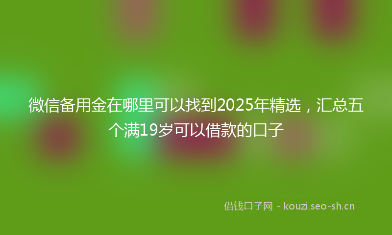 微信备用金在哪里可以找到2025年精选，汇总五个满19岁可以借款的口子