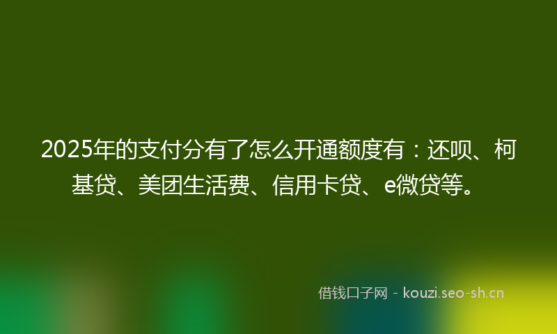 2025年的支付分有了怎么开通额度有：还呗、柯基贷、美团生活费、信用卡贷、e微贷等。