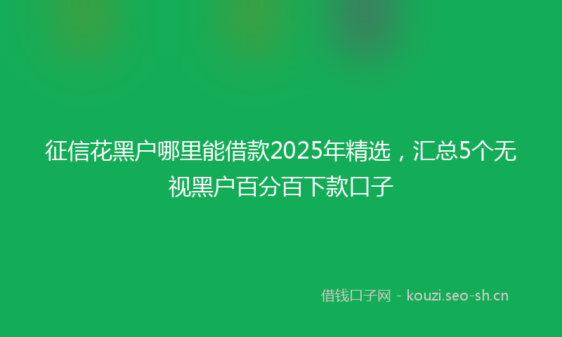 征信花黑户哪里能借款2025年精选，汇总5个无视黑户百分百下款口子