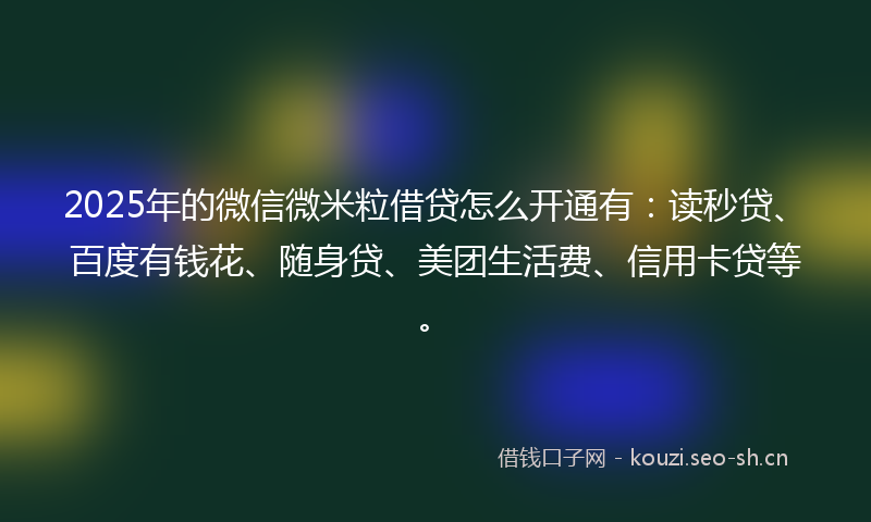 2025年的微信微米粒借贷怎么开通有：读秒贷、百度有钱花、随身贷、美团生活费、信用卡贷等。