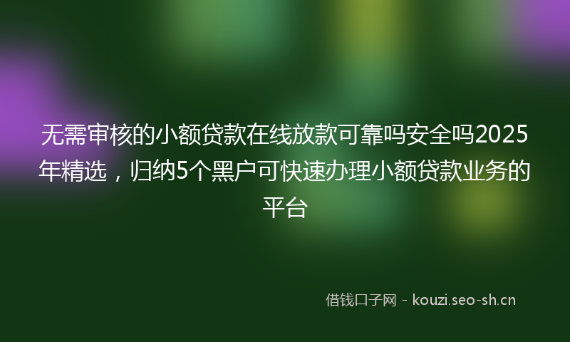 无需审核的小额贷款在线放款可靠吗安全吗2025年精选，归纳5个黑户可快速办理小额贷款业务的平台