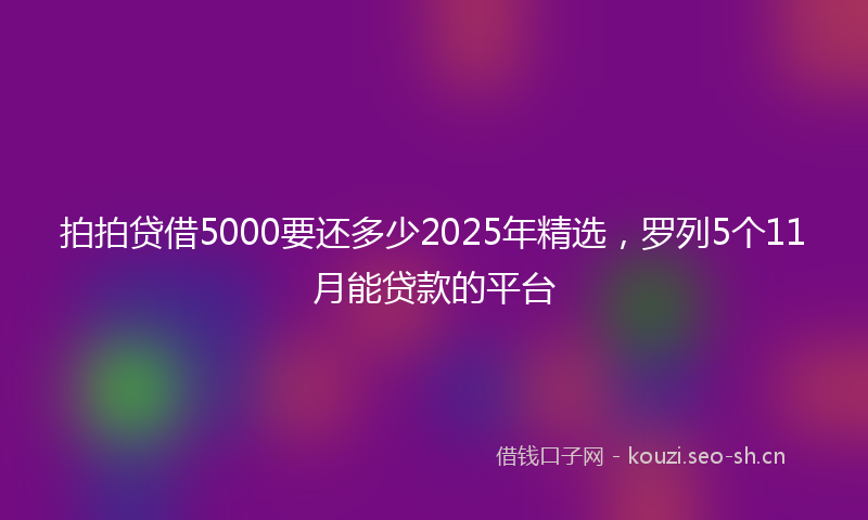 拍拍贷借5000要还多少2025年精选，罗列5个11月能贷款的平台