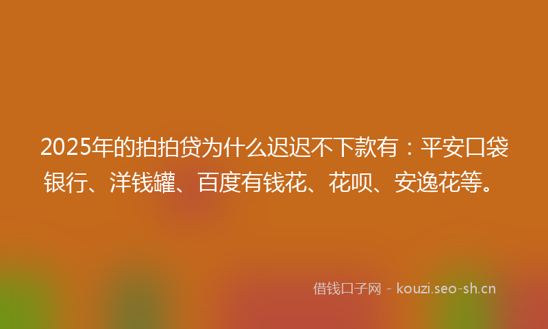 2025年的拍拍贷为什么迟迟不下款有：平安口袋银行、洋钱罐、百度有钱花、花呗、安逸花等。