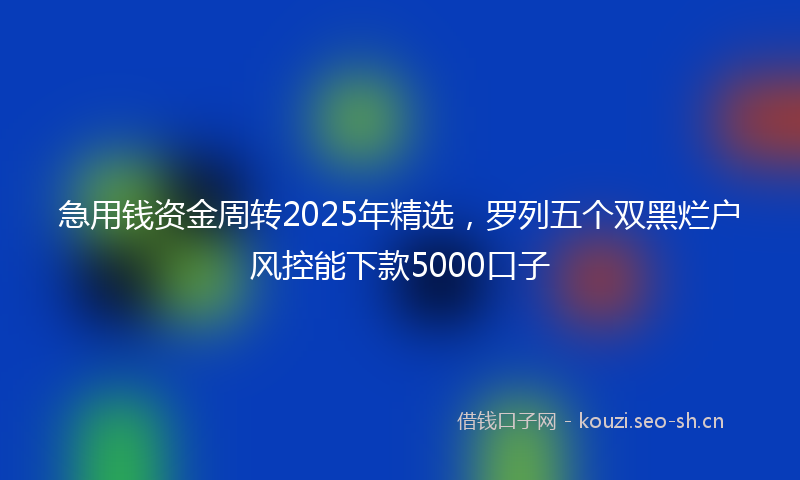 急用钱资金周转2025年精选,罗列五个双黑烂户风控能下款5000口子
