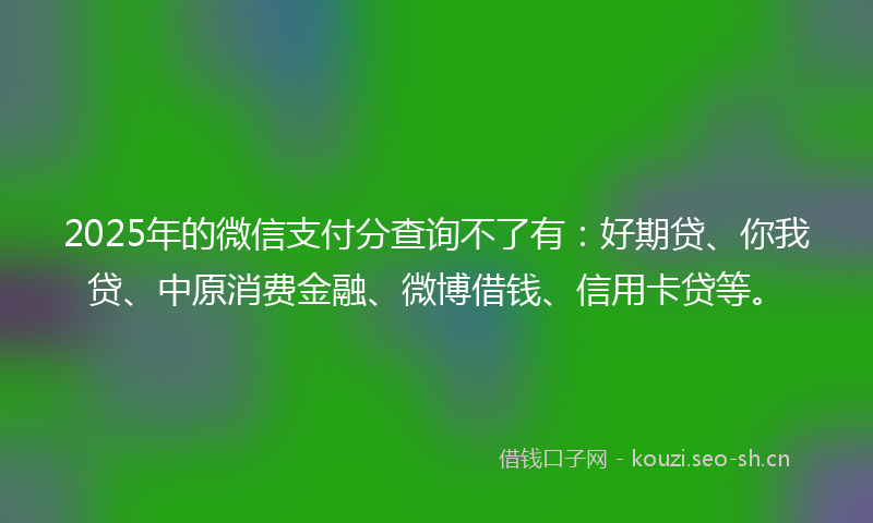 2025年的微信支付分查询不了有:好期贷、你我贷、中原消费金融、微博借钱、信用卡贷等。
