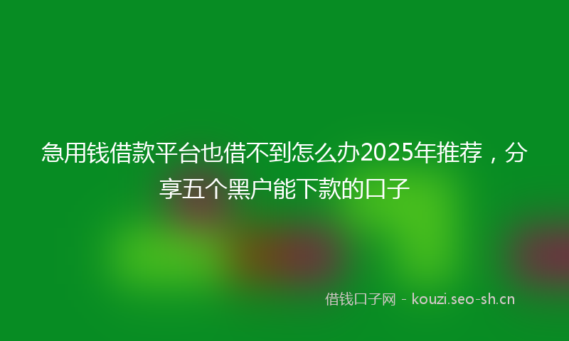 急用钱借款平台也借不到怎么办2025年推荐，分享五个黑户能下款的口子