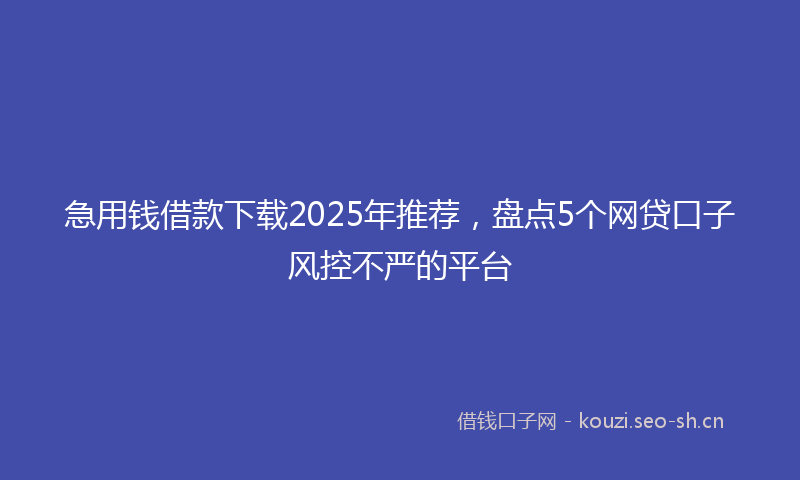 急用钱借款下载2025年推荐，盘点5个网贷口子风控不严的平台