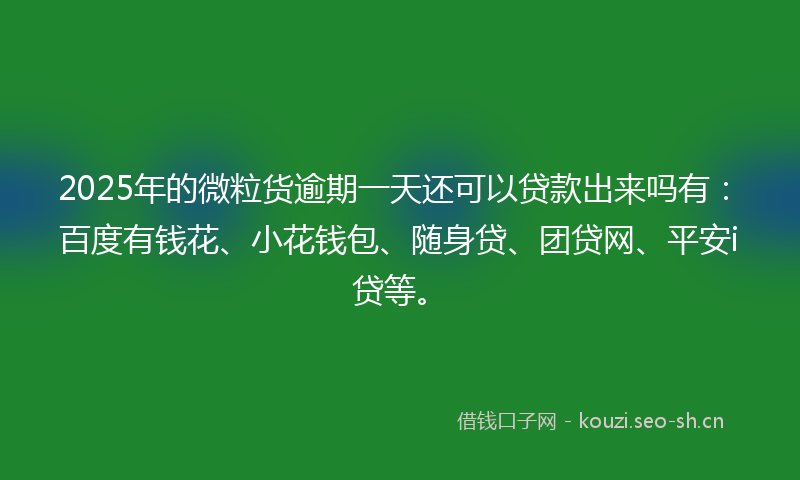 2025年的微粒货逾期一天还可以贷款出来吗有：百度有钱花、小花钱包、随身贷、团贷网、平安i贷等。