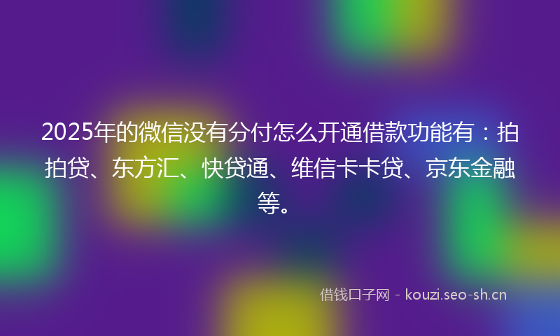 2025年的微信没有分付怎么开通借款功能有:拍拍贷、东方汇、快贷通、维信卡卡贷、京东金融等。