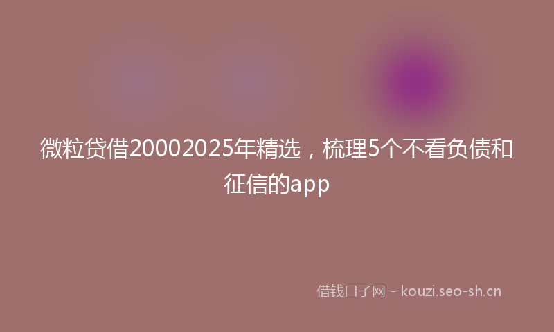 微粒贷借20002025年精选，梳理5个不看负债和征信的app