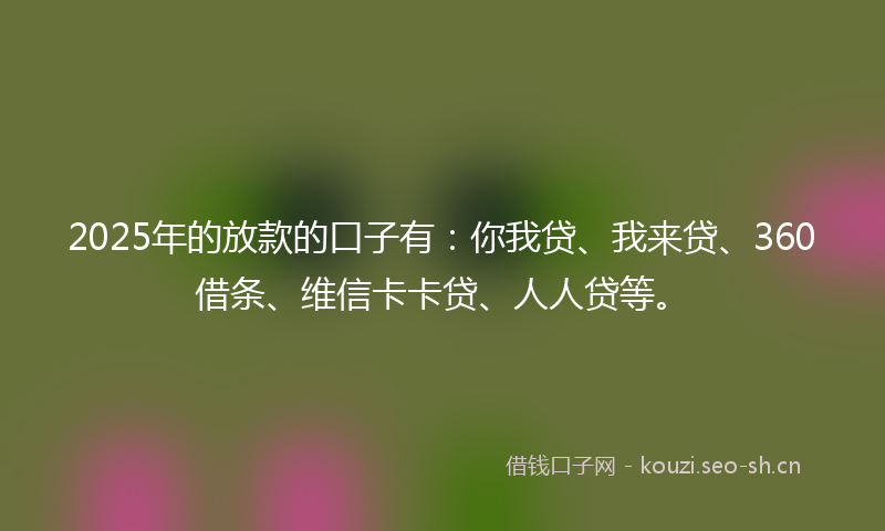 2025年的放款的口子有：你我贷、我来贷、360借条、维信卡卡贷、人人贷等。
