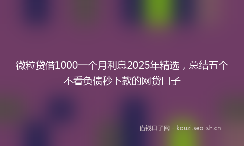 微粒贷借1000一个月利息2025年精选，总结五个不看负债秒下款的网贷口子