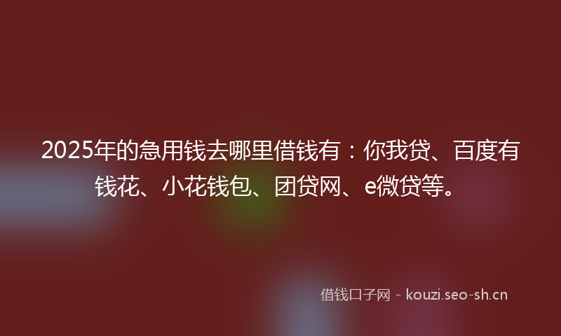 2025年的急用钱去哪里借钱有：你我贷、百度有钱花、小花钱包、团贷网、e微贷等。