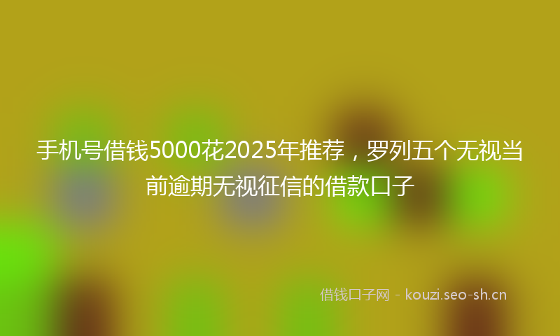 手机号借钱5000花2025年推荐，罗列五个无视当前逾期无视征信的借款口子