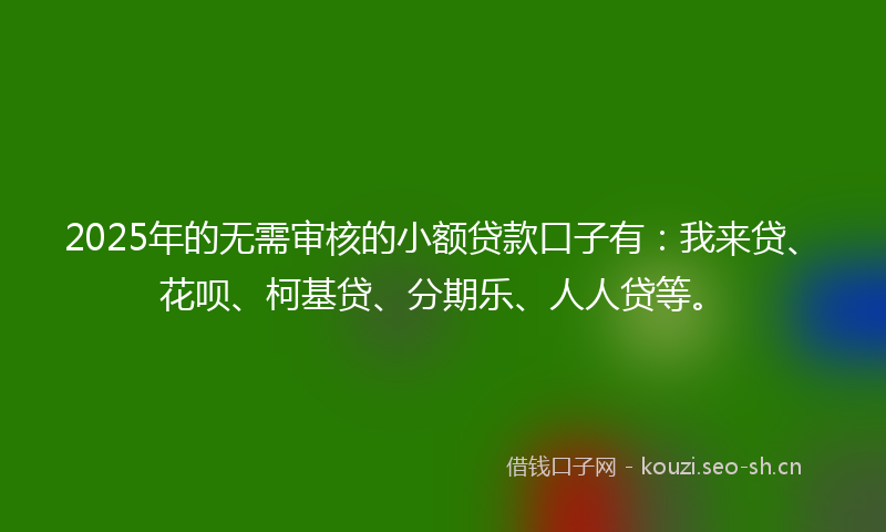 2025年的无需审核的小额贷款口子有：我来贷、花呗、柯基贷、分期乐、人人贷等。
