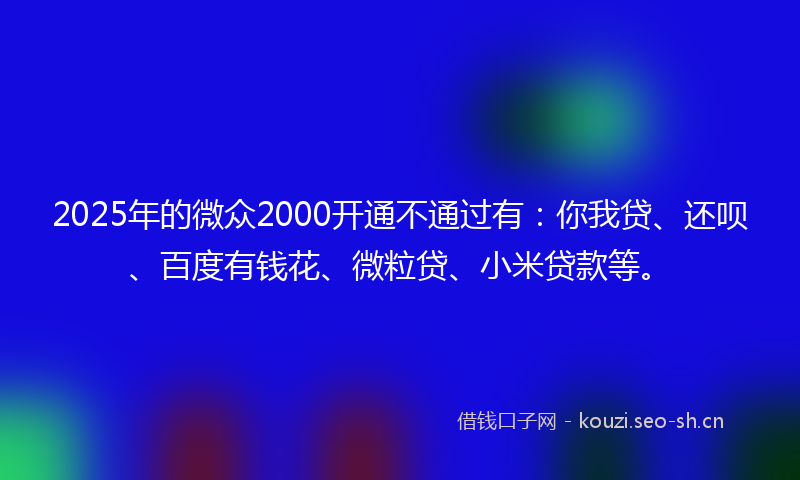2025年的微众2000开通不通过有：你我贷、还呗、百度有钱花、微粒贷、小米贷款等。