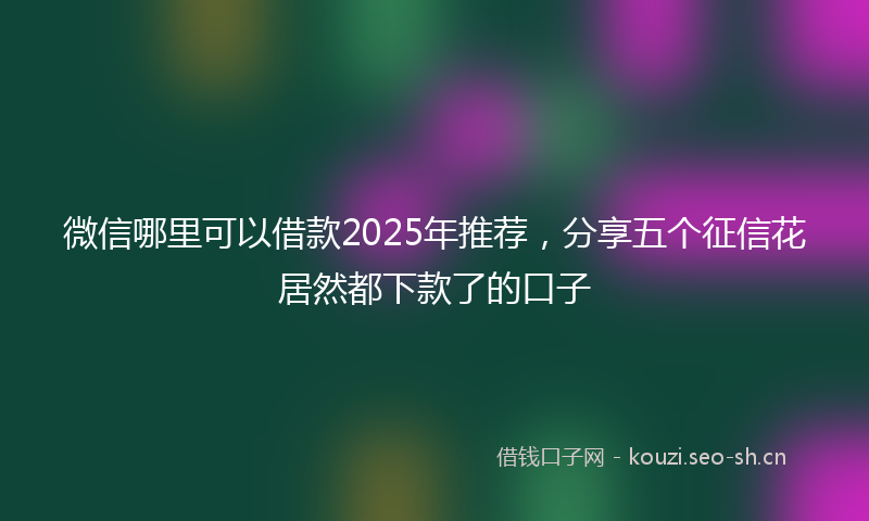 微信哪里可以借款2025年推荐，分享五个征信花居然都下款了的口子