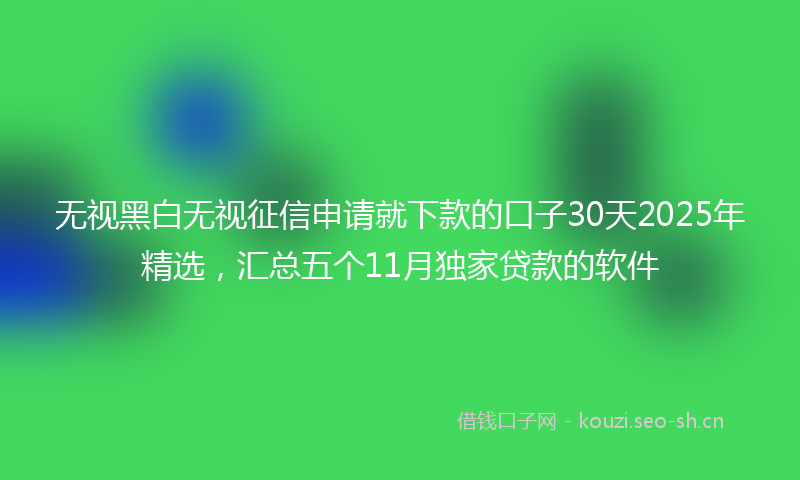 无视黑白无视征信申请就下款的口子30天2025年精选，汇总五个11月独家贷款的软件
