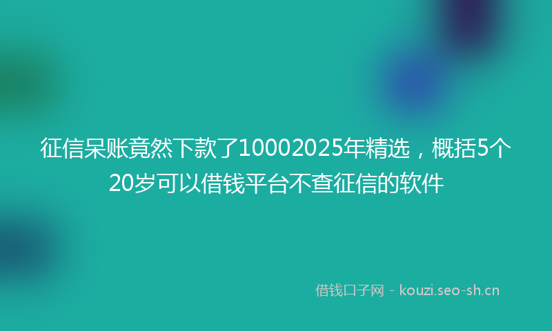 征信呆账竟然下款了10002025年精选，概括5个20岁可以借钱平台不查征信的软件