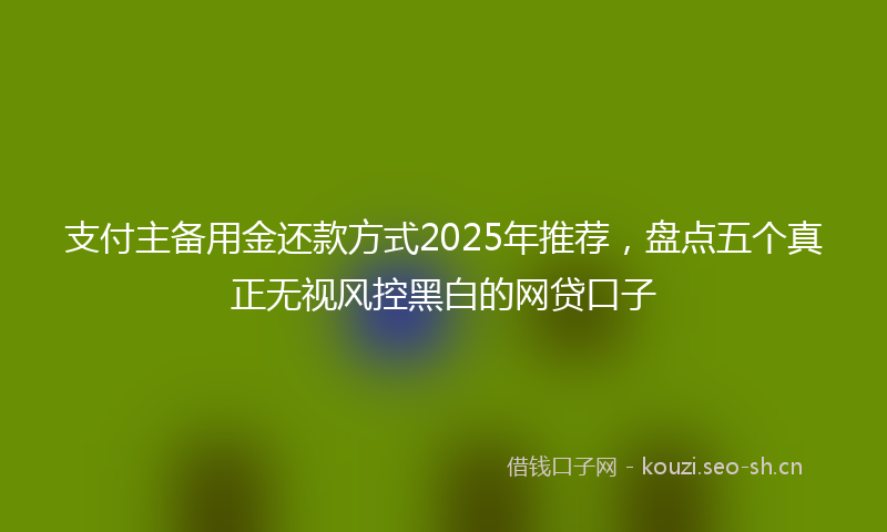支付主备用金还款方式2025年推荐，盘点五个真正无视风控黑白的网贷口子