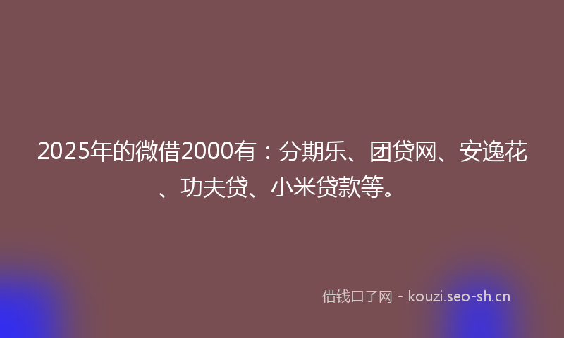 2025年的微借2000有：分期乐、团贷网、安逸花、功夫贷、小米贷款等。