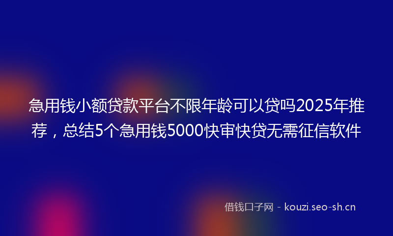 急用钱小额贷款平台不限年龄可以贷吗2025年推荐,总结5个急用钱5000快审快贷无需征信软件