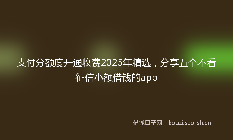 支付分额度开通收费2025年精选,分享五个不看征信小额借钱的app