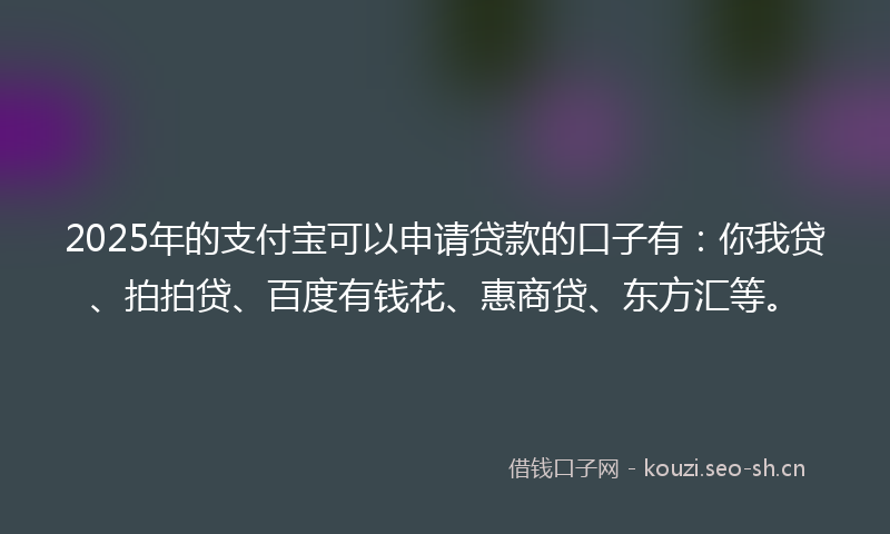 2025年的支付宝可以申请贷款的口子有：你我贷、拍拍贷、百度有钱花、惠商贷、东方汇等。