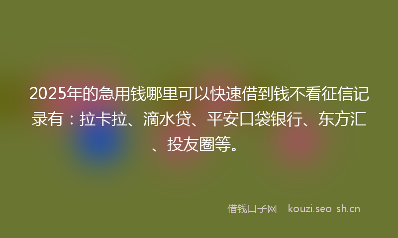 2025年的急用钱哪里可以快速借到钱不看征信记录有：拉卡拉、滴水贷、平安口袋银行、东方汇、投友圈等。