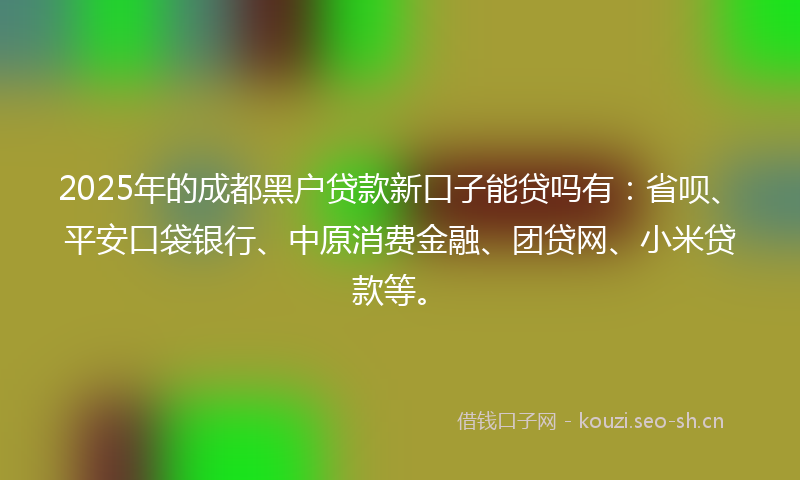 2025年的成都黑户贷款新口子能贷吗有：省呗、平安口袋银行、中原消费金融、团贷网、小米贷款等。