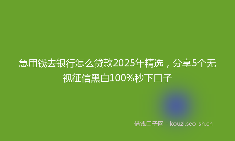 急用钱去银行怎么贷款2025年精选，分享5个无视征信黑白100%秒下口子